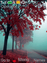 nature