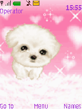 babydog