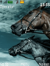 SWEDISH HORSE RACING