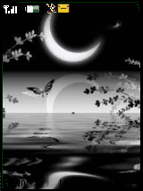 Moonlight