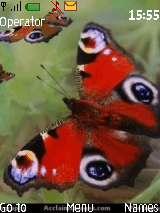 red butterfy
