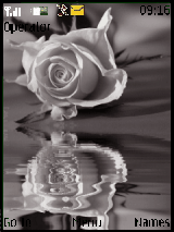 rose_love