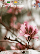 pink flower