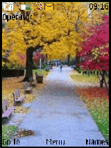 colour_trees