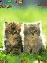 cute_kitty