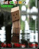 danbo