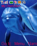 dolphine2