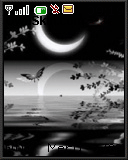 lonely nite