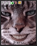 cat face