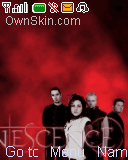 evanescencesss