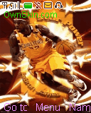 lebron 