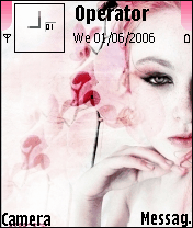 pink LAdy