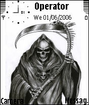 skull