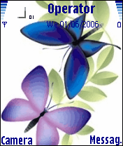 butterfly