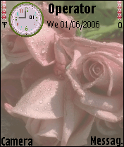 rose