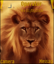 king