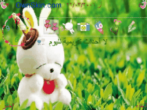 Cute Rabbit