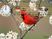 cardinal