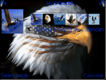 águila 8