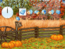 Pumpkin harvest
