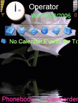 white flower animate