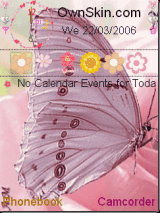 butterfly