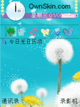蒲公英
