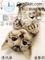 猫咪
