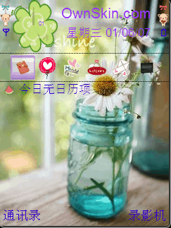 雏菊