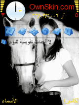 Love Horses
