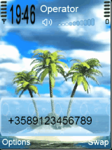 palm tree