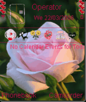 rose