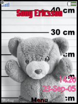 teddy