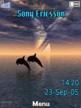 Dolphin dancing