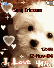 cute dog