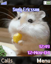 Cute Mouse
