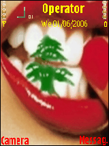 009613377198