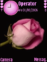 ROSE PETAL