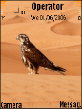 dxb