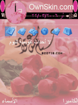 عزوتي