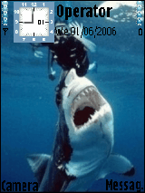 bad shark
