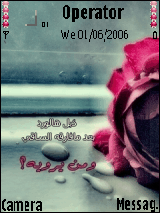 ذبل هالورد ..!!