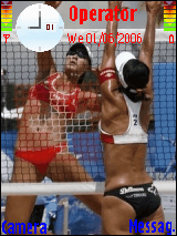 Volleyball