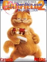 加菲猫