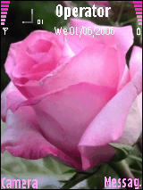 flower1