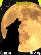 night wolf
