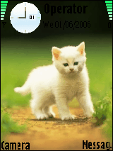 the weht cat
