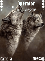 wolf