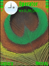 Peacock Feather