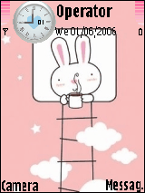 cute rabbit